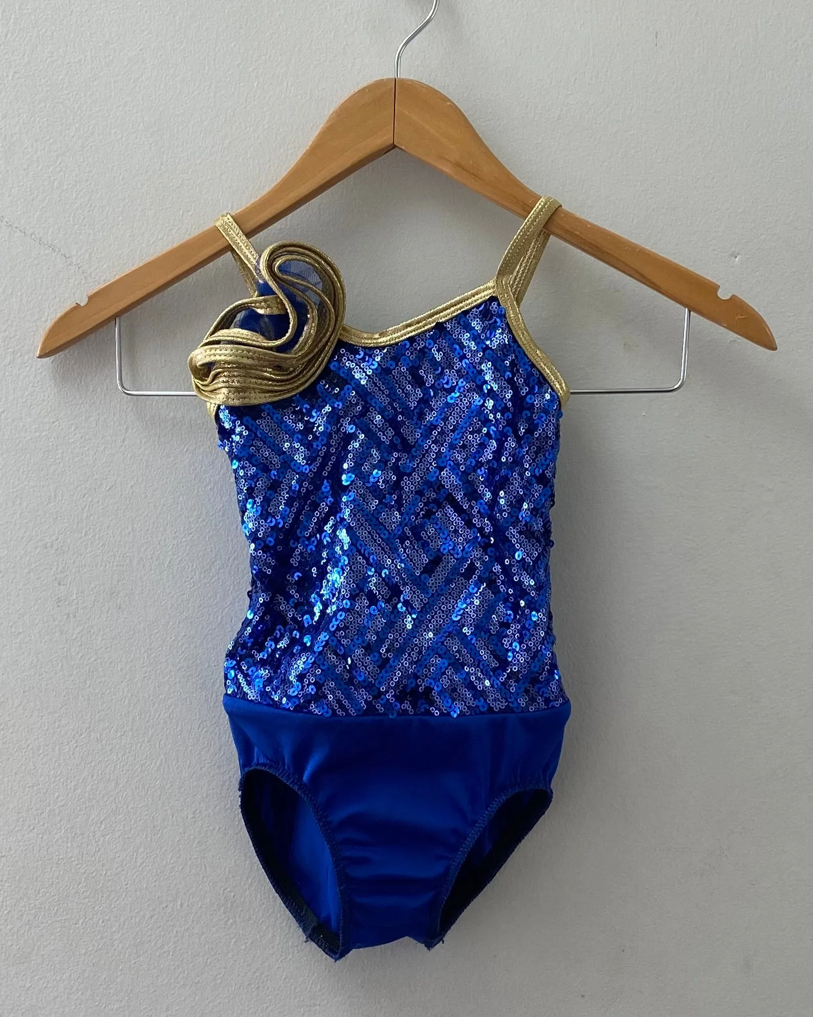 Blue & Gold Glittery Leotard